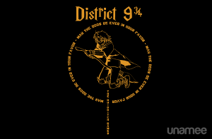 The Quidditch Games at unamee.com